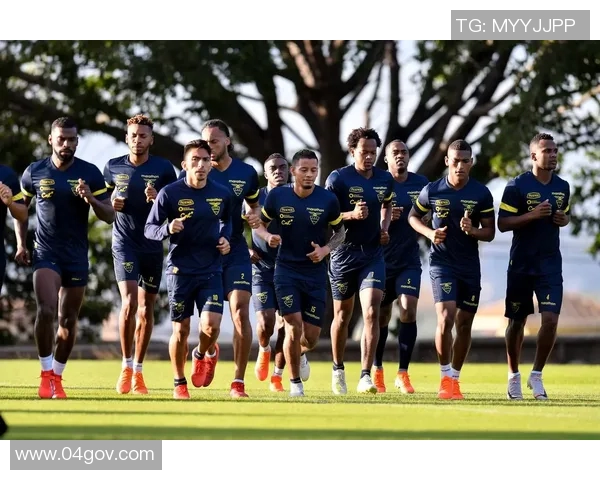 巴西与厄瓜多尔足球对决分析及赛前预测详解