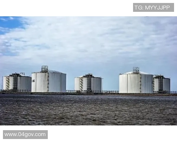 数据分析揭示LNG市场意识变化及其对未来发展的影响探讨